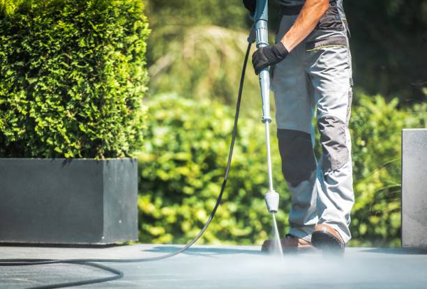 Best House Exterior Washing  in Matta, WA